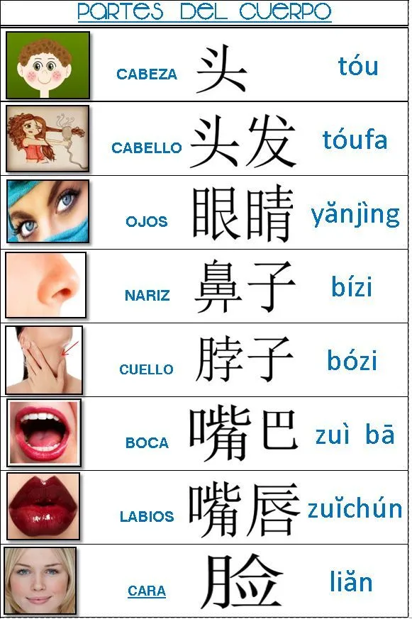 CHINO —PARTES DEL CUERPO | Escritura china, Aprender chino, Idioma chino CHINO —PARTES DEL CUERPO | Escritura china, Aprender chino, Idioma chino