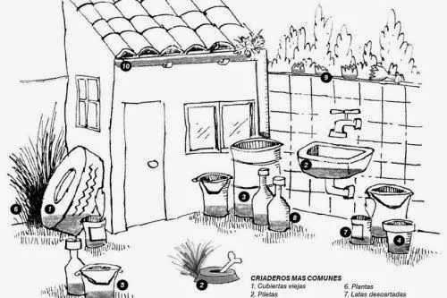 CHIPILÍN Frontera: El dengue y el chukungunya CHIPILÍN Frontera: El dengue y el chukungunya
