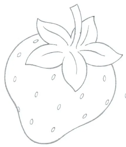 Los chiribiquis de Winga: Fresa de fieltro