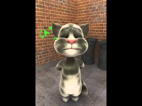 El chiste de los reyes magos contado por el gato tom - YouTube El chiste de los reyes magos contado por el gato tom - YouTube