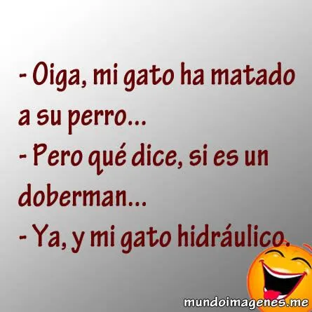 Chistes Cortos Graciosos Con Imagenes - Mundo Imagenes Frases Actuales