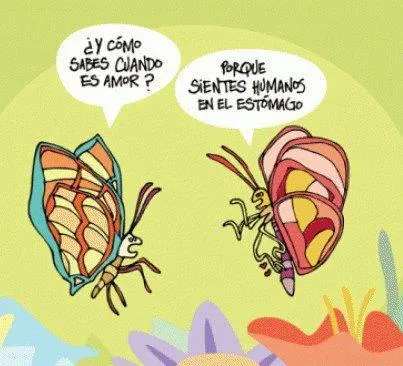 chistes graficos mariposas como sabes cuando es amor yecla ofertas ...