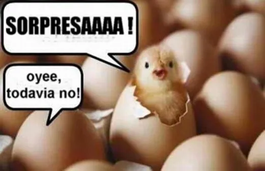 CHISTES DE POLLITOS CHISTES DE HUEVOS : CHISTES Y CHISTECITOS CORTOS CHISTES DE POLLITOS CHISTES DE HUEVOS : CHISTES Y CHISTECITOS CORTOS