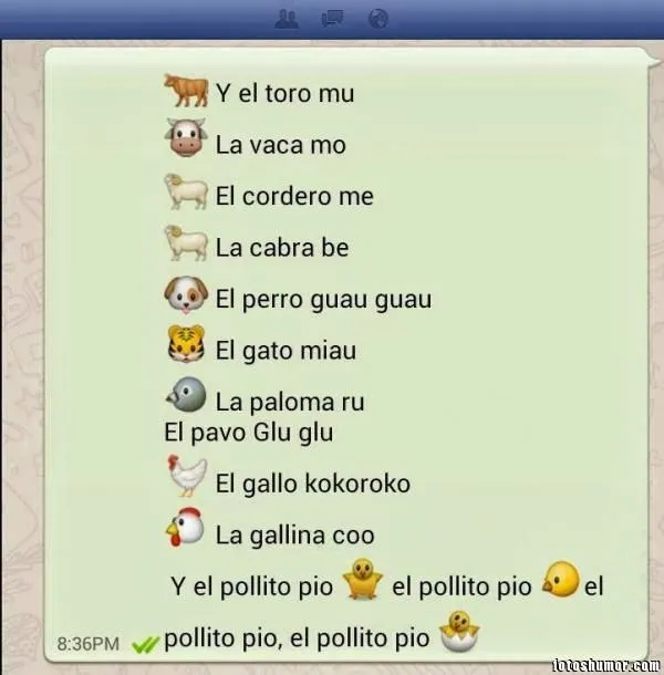 chistes whatssapp | Frases, citas y dedicatorias