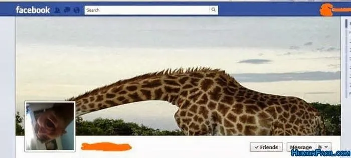Ver Imagenes para facebook: Facebook portadas 3D chistosas
