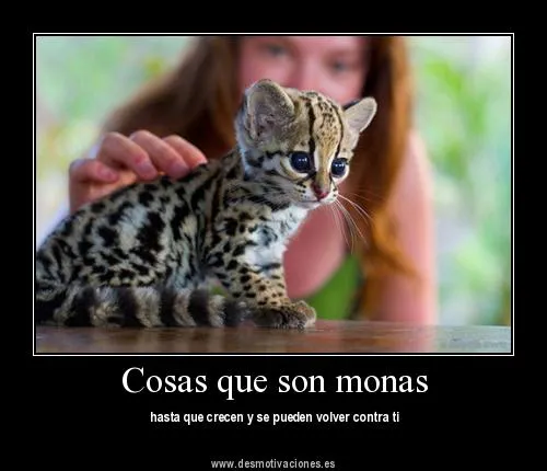 chistosas animadas | Imagenes