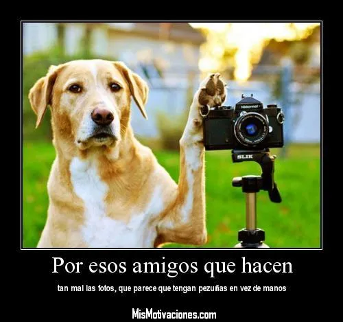 chistosas-imagenes (1) | cpstricks