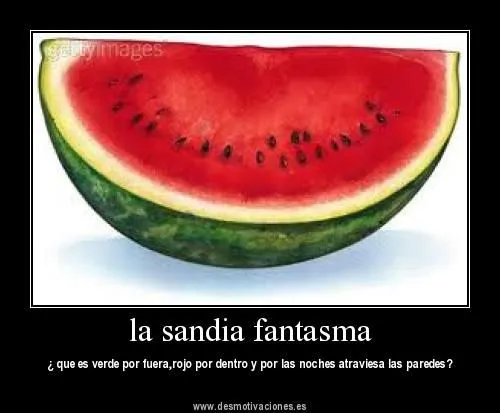 Chistosas | silviablog1