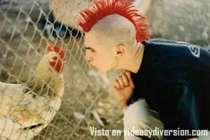 algo muy chistoso, parecidos - Taringa! algo muy chistoso, parecidos - Taringa!