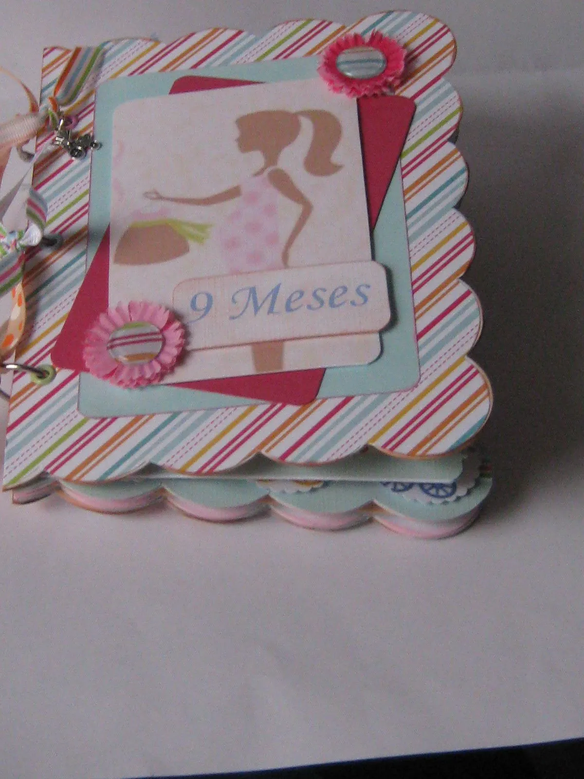 chocolate y burbujas: Mi primer álbum, embarazo