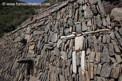 CHOQUEQUIRAO (IV); Una llacta incaica en los Andes amazónicos ...