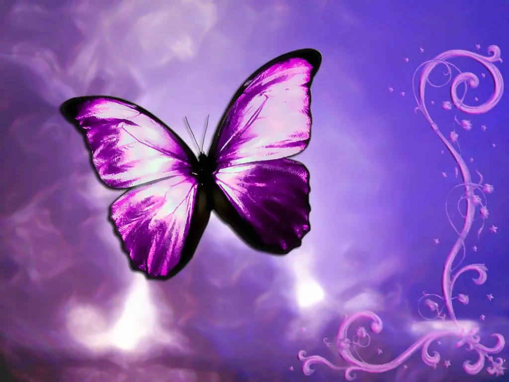 Chupetero Mariposa Car Car Picture Pictures Chupetero Mariposa Car Car Picture Pictures