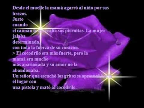 CICATRICES - YouTube