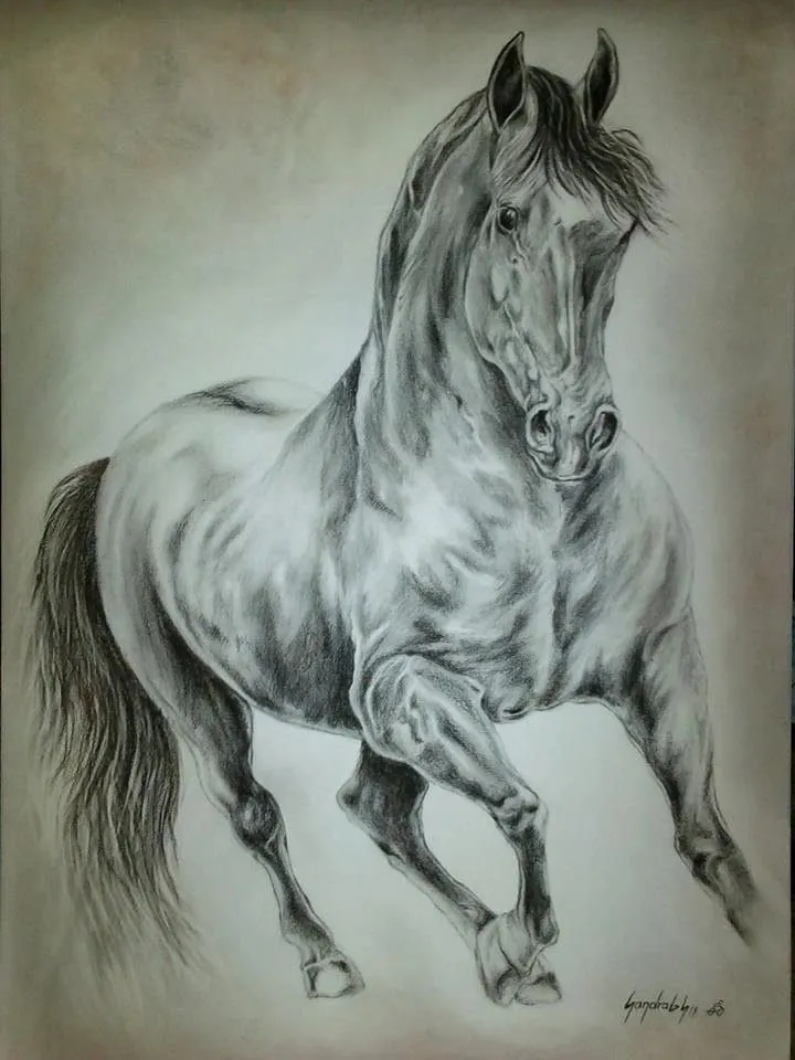 Dibujo de caballos a lápiz - Imagui