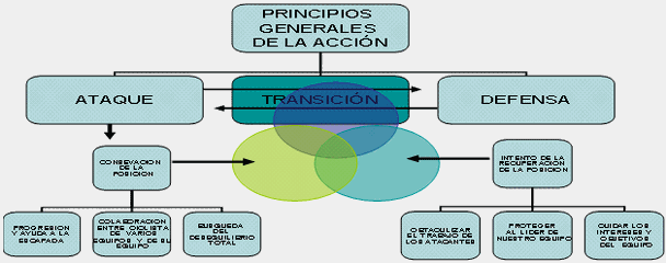 Ciclismo: deporte de equipo - Monografias.com