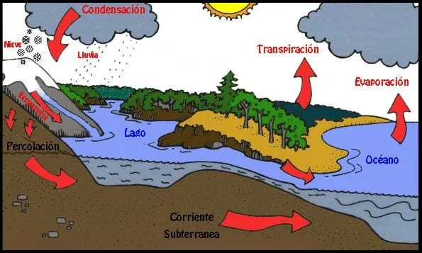 Ciclo del agua