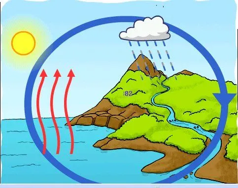 Ciclo del Agua |