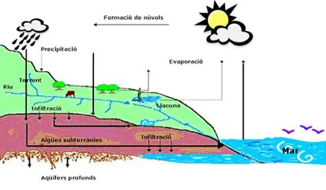 El ciclo del agua | Aigues de Mataro El ciclo del agua | Aigues de Mataro