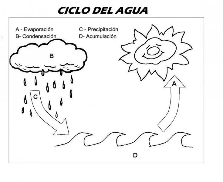 ciclo del agua, ciencias naturales, conocimiento del medio, fichas primaria, fichas infantil | Ciclo del agua, Actividades del ciclo del agua, Agua para colorear ciclo del agua, ciencias naturales, conocimiento del medio, fichas primaria, fichas infantil | Ciclo del agua, Actividades del ciclo del agua, Agua para colorear