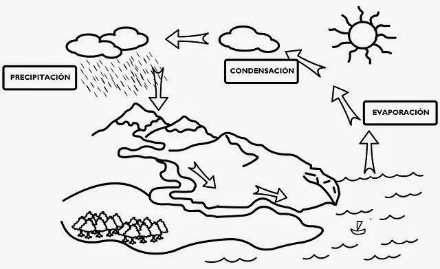 Dibujo sobre el ciclo del agua para colorear - Imagui Dibujo sobre el ciclo del agua para colorear - Imagui