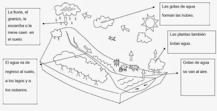 El Ciclo del Agua para colorear ~ Dibujos para Niños