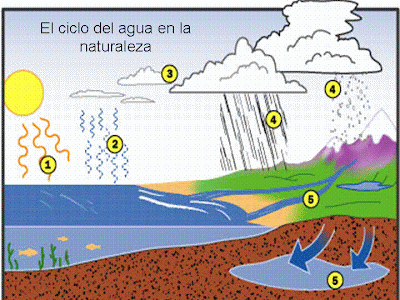 Ciclo del agua para colorear - Imagui