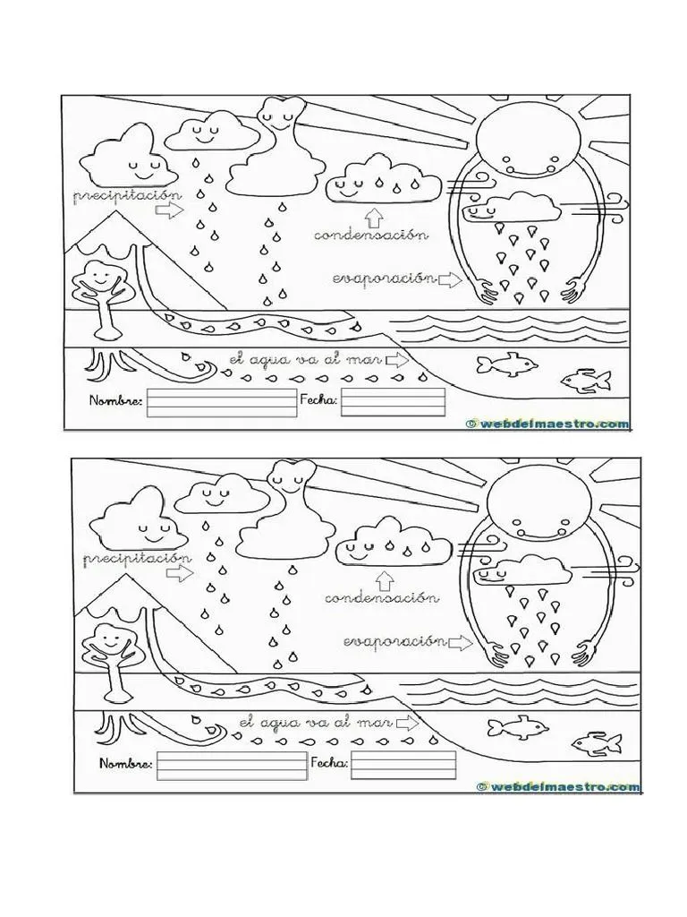 Ciclo Agua para Colorear | PDF