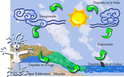 Tomar conciencia: Ciclo del agua