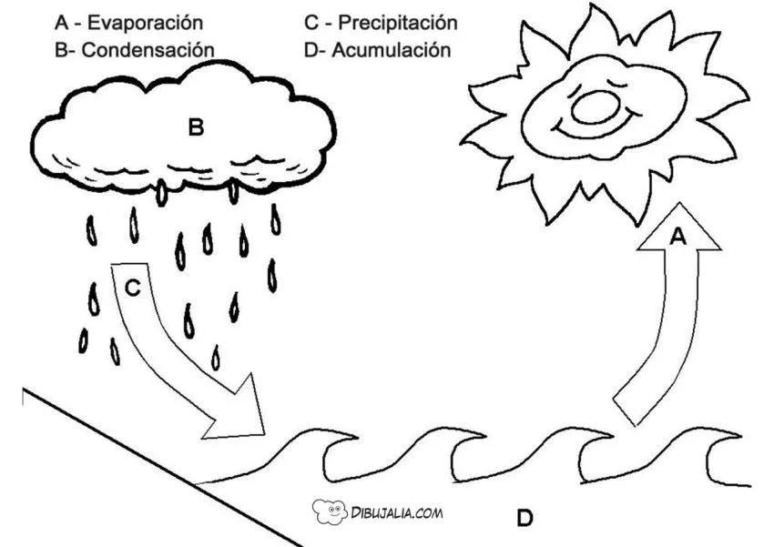 Ciclo del agua - Dibujo #1772 - Dibujalia - Dibujos para Colorear y  Recursos Educativos