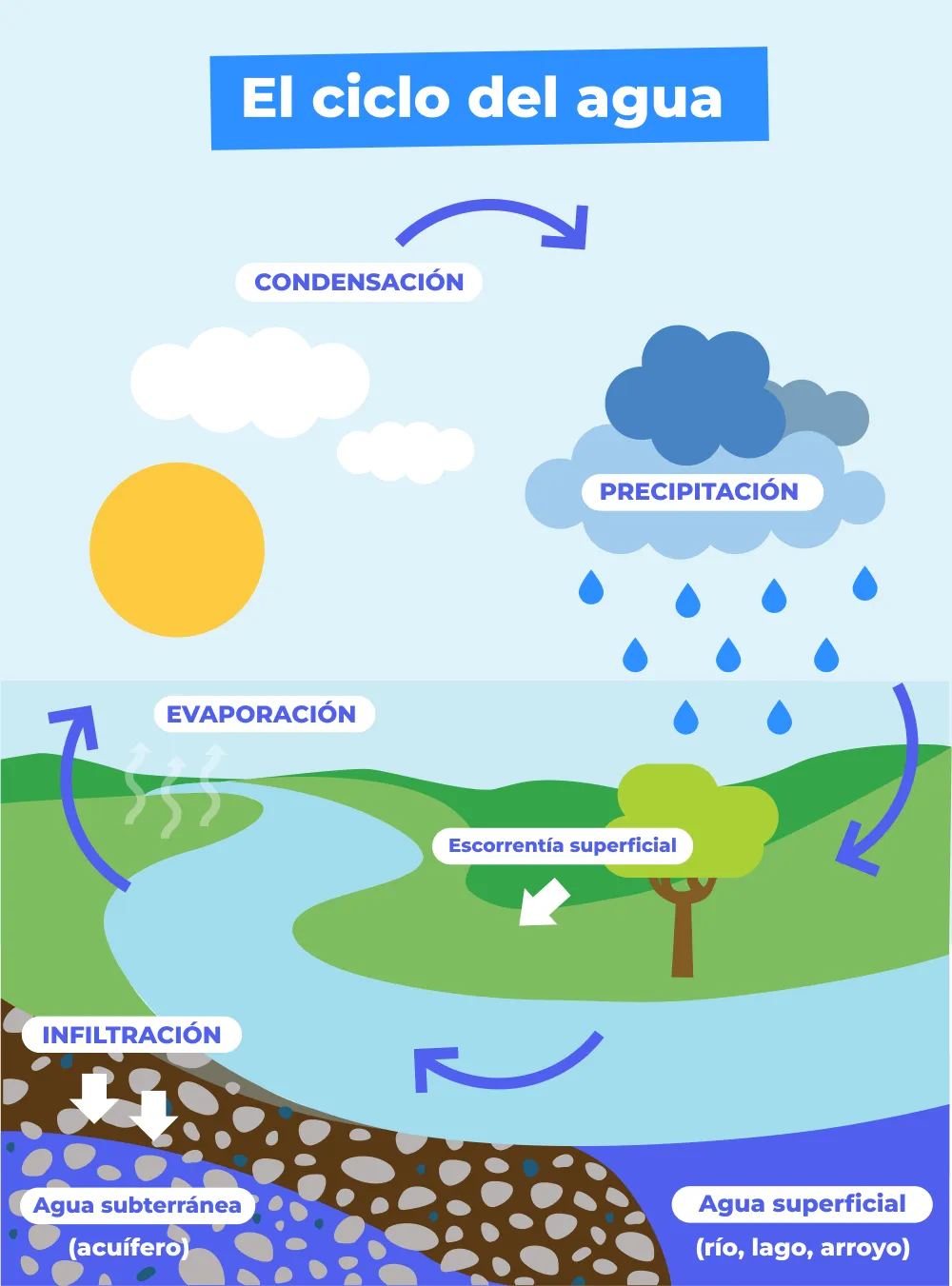Ciclo del agua: Dibujo, explicación y PDF para descargar Ciclo del agua: Dibujo, explicación y PDF para descargar
