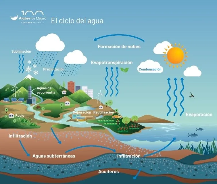 Ciclo del Agua: Qué es, Características, Etapas y Dibujo Ciclo del Agua: Qué es, Características, Etapas y Dibujo
