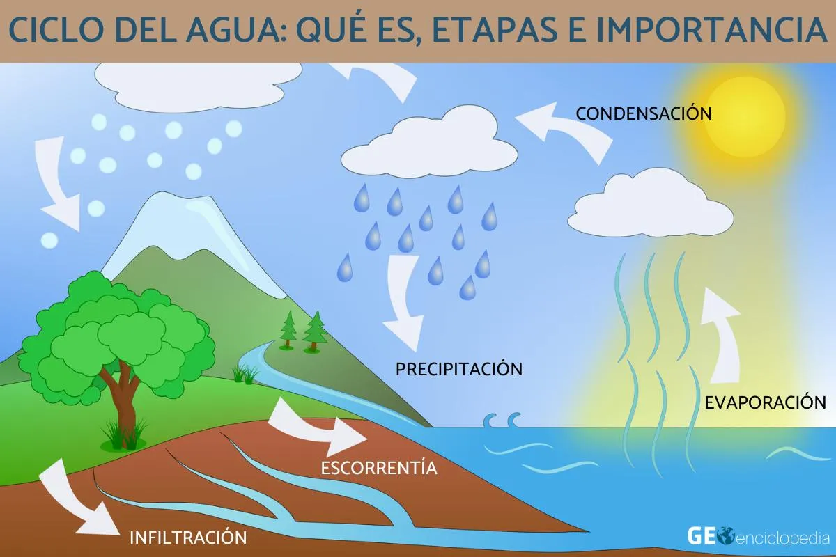 Ciclo del agua: qué es, etapas e importancia - Resumen