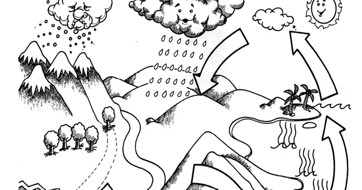 Ciclo del Agua: imágenes, maquetas y dibujos para colorear Ciclo del Agua: imágenes, maquetas y dibujos para colorear