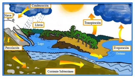El ciclo del agua - Imagui