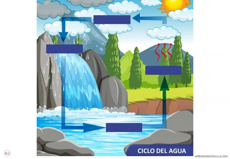 Ciclo del agua - Imprimible y actividad online - Aprendiendo con Julia Ciclo del agua - Imprimible y actividad online - Aprendiendo con Julia