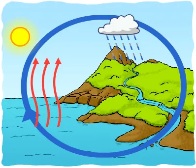 EL CICLO DEL AGUA PARA NIÑOS