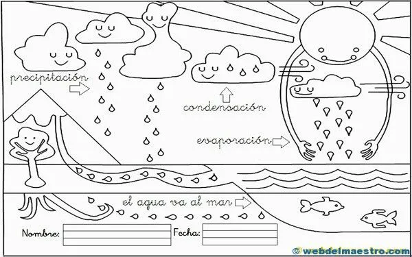 Ciclo del agua - Web del maestro