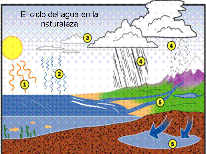 Ciclo del agua para niños explicacion - Imagui