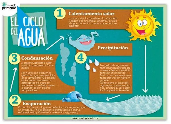 Las fases del ciclo del agua para niños de primaria Las fases del ciclo del agua para niños de primaria