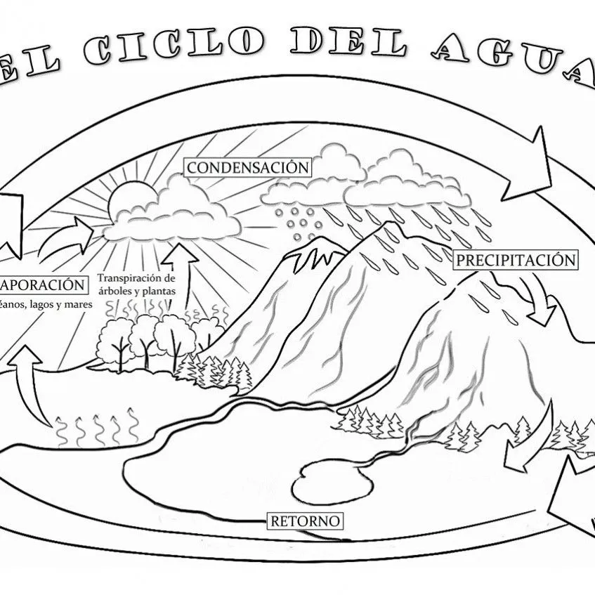 El ciclo del agua - Pictoeduca