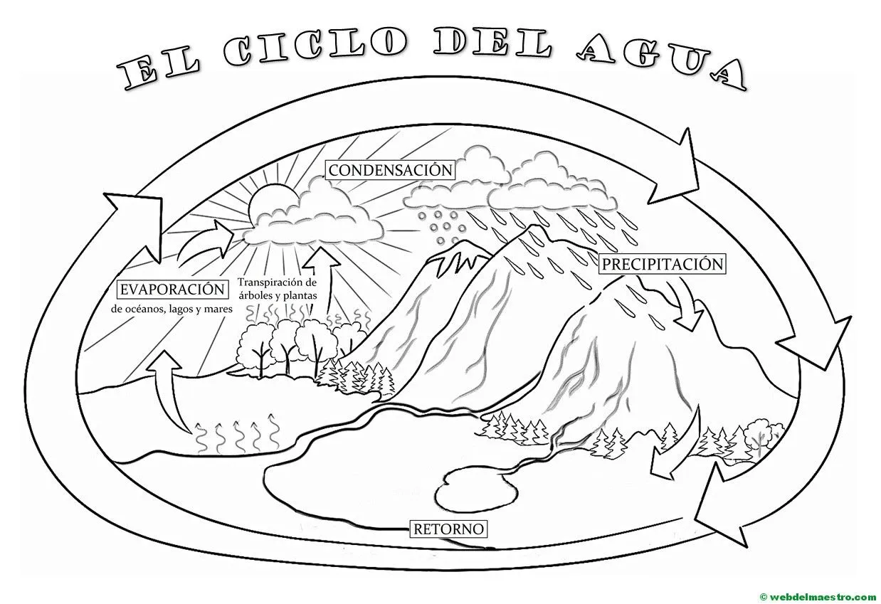 El ciclo del agua (Primaria) - Web del maestro
