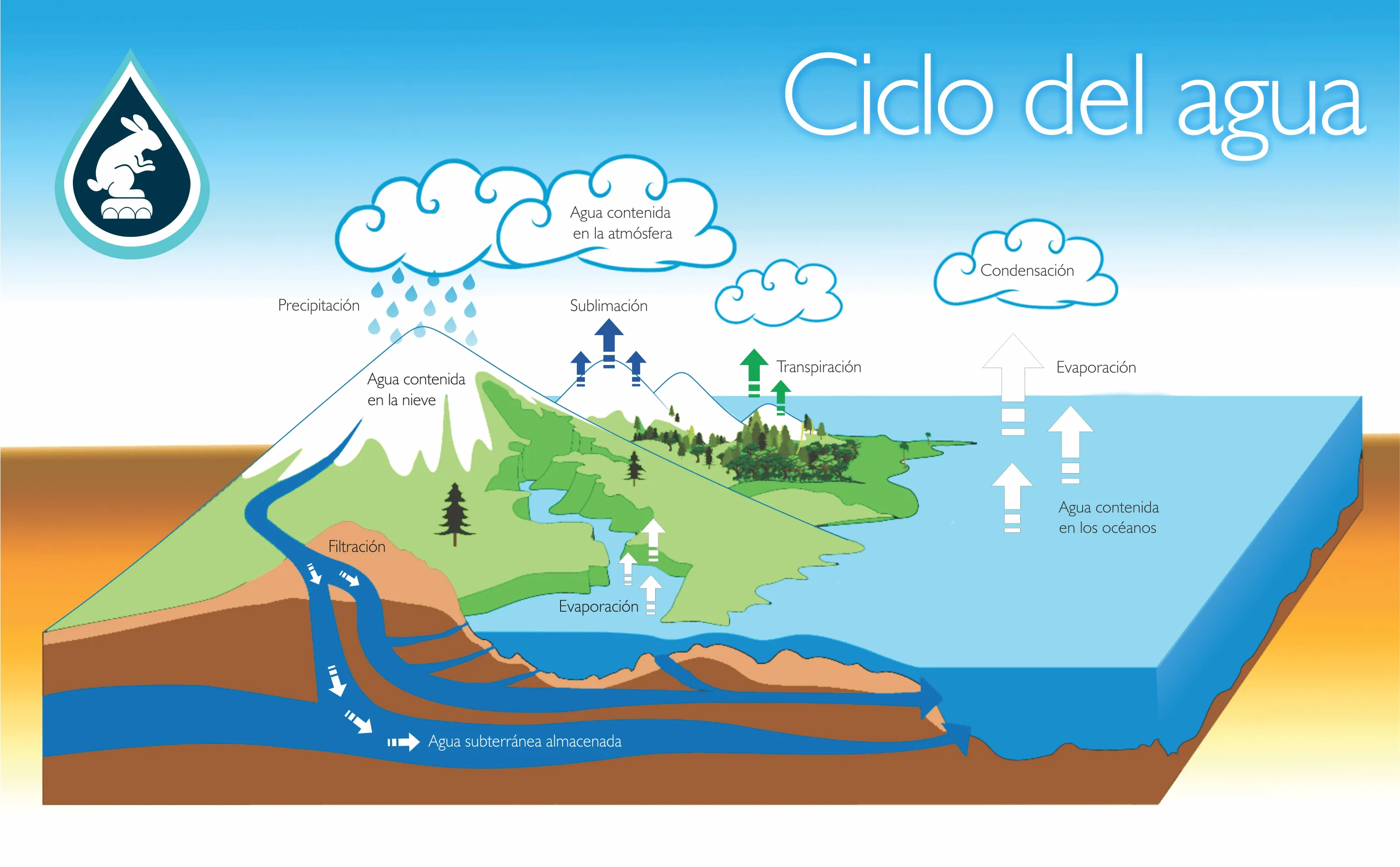 Ciclo del agua - SMAPA