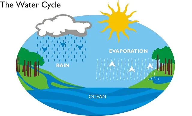 El ciclo del agua | Tecnozono