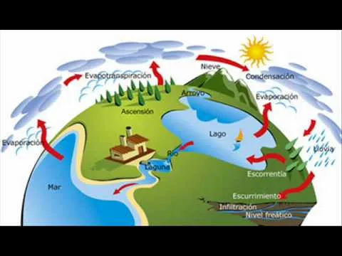 EL CICLO DEL AGUA - YouTube