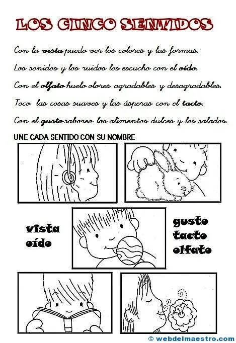 PRIMER CICLO Archives - Web del maestro