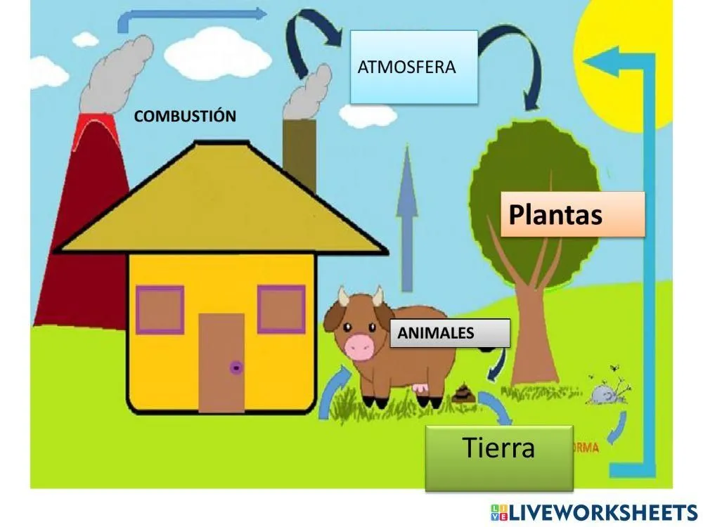 Ciclo del carbono online exercise | Live Worksheets Ciclo del carbono online exercise | Live Worksheets