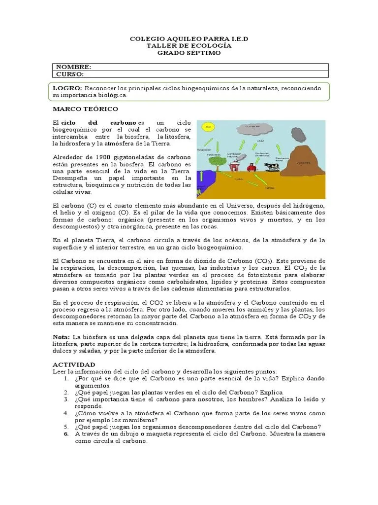 Ciclo Del Carbono | PDF | Ciclo del carbono | Carbón Ciclo Del Carbono | PDF | Ciclo del carbono | Carbón