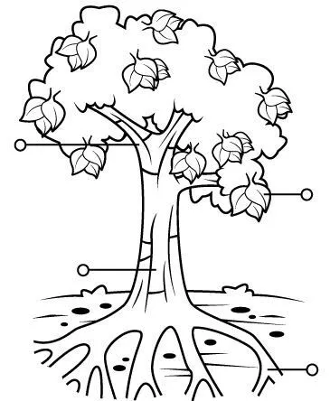 La planta y sus partes para colorear e imprimir - Imagui La planta y sus partes para colorear e imprimir - Imagui