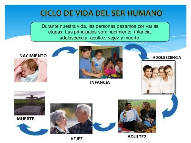 ciclo-de-vida-del-ser-humano-2 ...