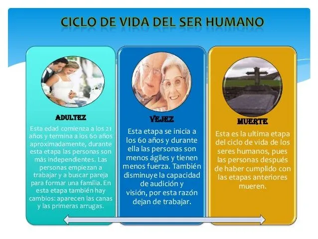 ciclo-de-vida-del-ser-humano-4 ...